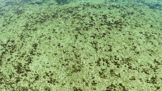 海岸附近清洁海水的顶部视图视频