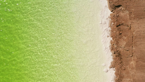 绿色盐湖天然湖底背景15秒视频