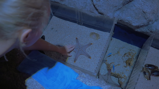女性在海洋馆中接触海星鱼视频
