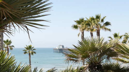 太平洋海滩棕榈树和码头亚历山大附近热带滨海度假胜地视频