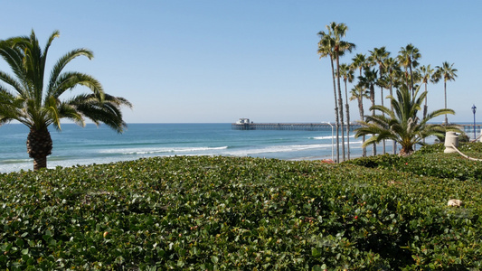 太平洋海滩棕榈树和码头亚历山大附近热带滨海度假胜地视频