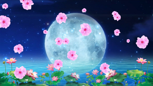 荷塘月色花瓣动画合成背景视频