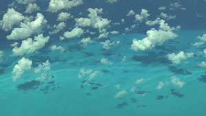 丰富多彩的海水巴哈马斯航空录像15秒视频