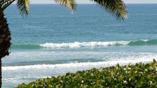 海浪和棕榈树在阳光明媚的白天暑假夏日假期视频