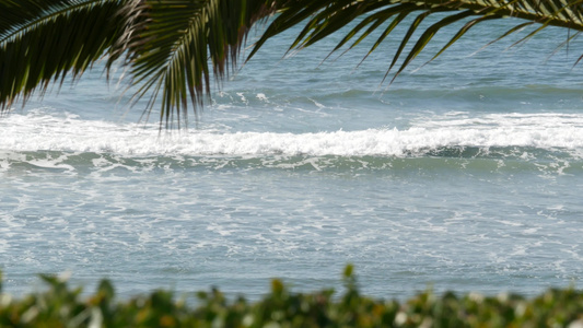 海浪和棕榈树在阳光明媚的白天暑假夏日假期视频