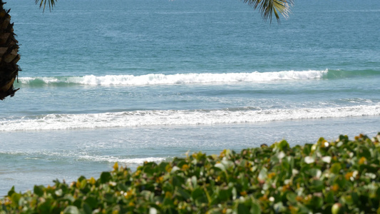 海浪和棕榈树在阳光明媚的白天暑假夏日假期视频