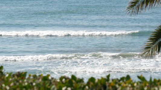 海浪和棕榈树在阳光明媚的白天暑假夏日假期视频