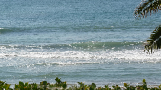 海浪和棕榈树在阳光明媚的白天暑假夏日假期视频