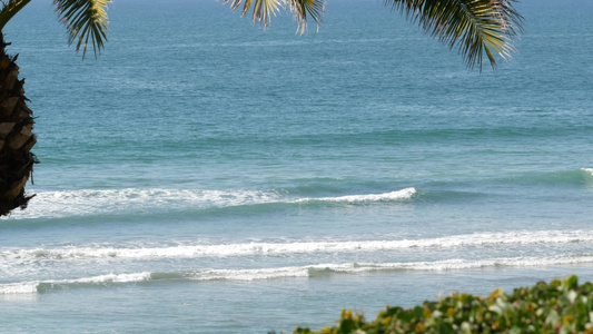 海浪和棕榈树在阳光明媚的白天暑假夏日假期视频