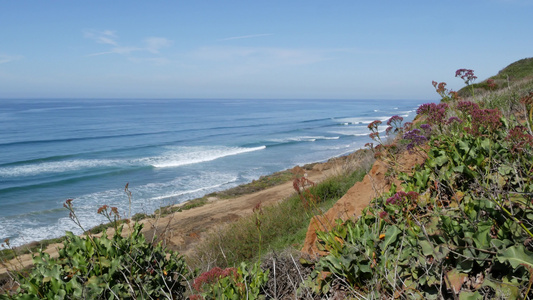 海景远景点DelMarTorreyPines加利福尼亚视频