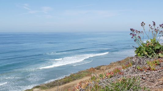 海景远景点DelMarTorreyPines加利福尼亚视频