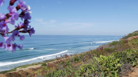 海景远景点DelMarTorreyPines加利福尼亚视频