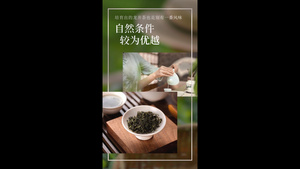 简洁电商产品展示采茶沏茶泡茶喝茶茶文化31秒视频