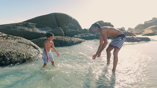 海滩上的父亲和儿子视频