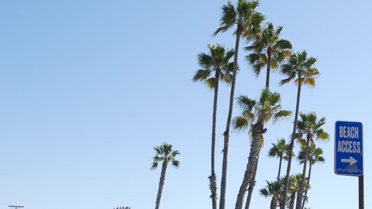 美国加利福尼亚州阳光明媚的海滩标志和棕榈树棕榈树和视频