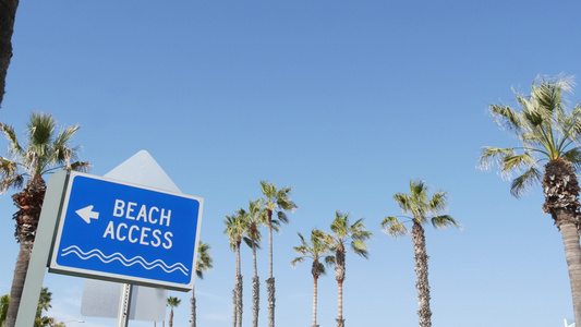 美国加利福尼亚州阳光明媚的海滩标志和棕榈树棕榈树和视频