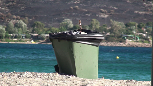 海滩上的垃圾桶视频