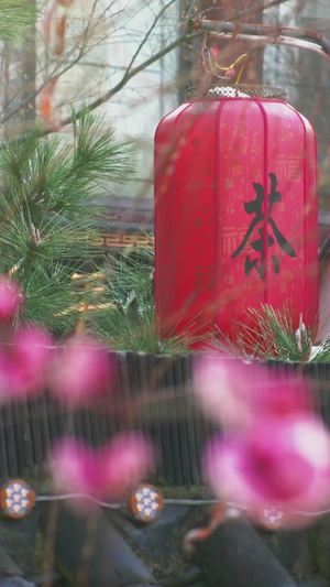 中国风梅花红灯笼古建筑虚实变焦实拍视频素材51秒视频