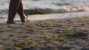 赤脚走在湿沙滩上13秒视频