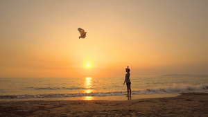 快乐的年轻男孩在日落时在海滩上放风筝16秒视频