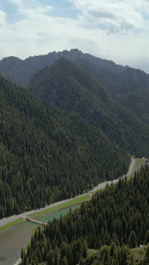 航拍5A天山大峡谷景区牦牛湖林海景观区视频旅游景区44秒视频