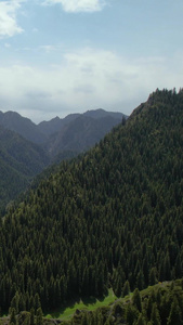 航拍5A天山大峡谷景区牦牛湖林海景观区视频自然风光视频
