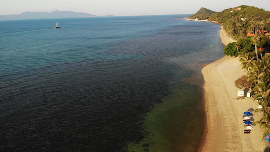 海与帆船和热带异国植物从上面可以看到平静的蓝色海洋视频