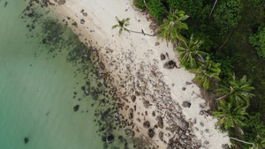 在海边的热带海滩上18秒视频