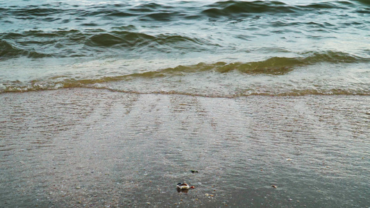 热带海洋海景景海浪在沙滩上冲撞水流流入大海视频