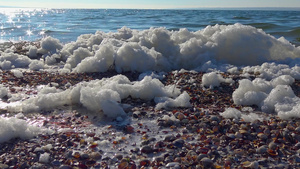 水上和海岸上的肮脏泡沫22秒视频