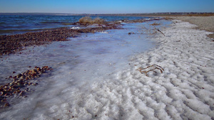 水上和海岸上的肮脏泡沫富营养化储水层污染生态问题;20秒视频
