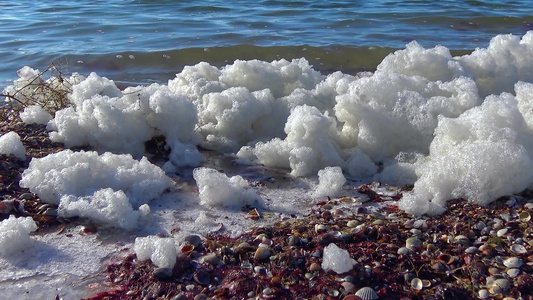 水上和海岸上的肮脏泡沫富营养化储水层污染生态问题;视频
