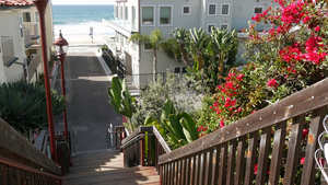 沿海楼梯太平洋海浪和棕榈树12秒视频