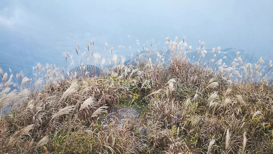 4K实拍山顶枯草视频