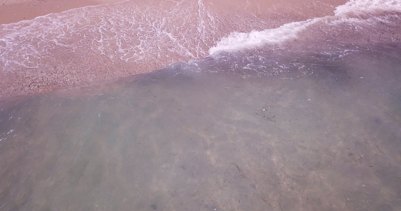 小海浪的空中观察一些植物漂浮在沙滩上视频