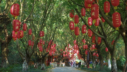 广东清远连州地下河溶洞5A景区大门口实拍视频视频