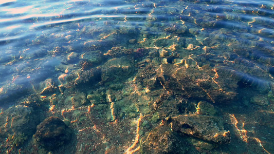 近海珊瑚礁水晶晶晶晶明亮的闪光水视频