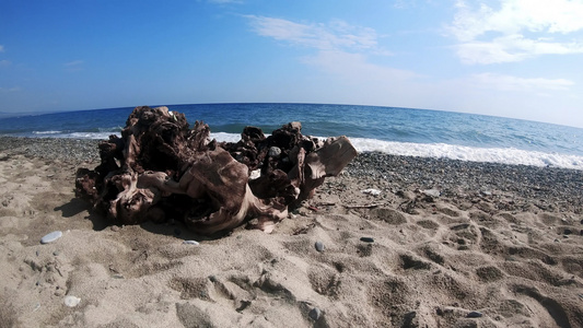 热带海滩上的树干用岩石沙慢流动视频