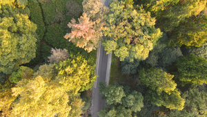 航拍城市景区道路秋天的色彩4k素材54秒视频