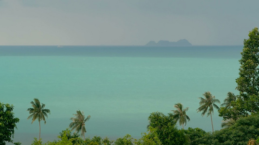 热带海景景观充满活力的天堂岛海滩风中飘扬着椰子棕榈树视频