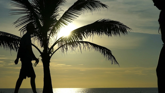 在海洋和棕榈树背景下行走的人的轮光影照照亮视频