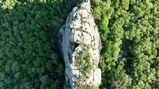 俯拍内蒙古大兴安岭喇嘛山森林岩石视频