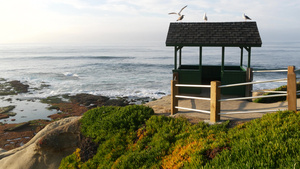 凹室屋顶上的海鸥鸟海鸥在木凉亭上太平洋溅起海浪凉亭14秒视频