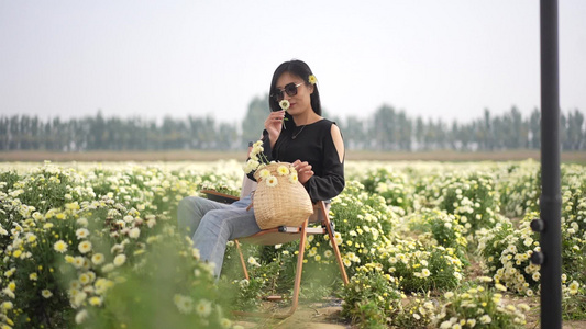 美女采菊菊花盛开氛围视频