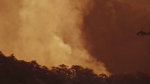 直升机在森林起火时向森林浇水19秒视频