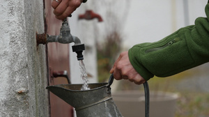 女人装满一桶水把花园洒在地上20秒视频