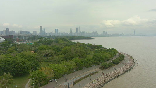 日复一日的深圳城富提亚区城市天线和海湾公园空中视频