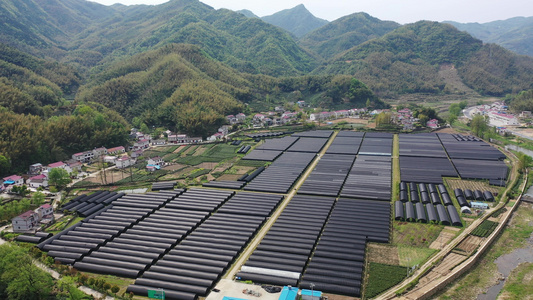 石斛种植生产基地航拍超清4K视频视频