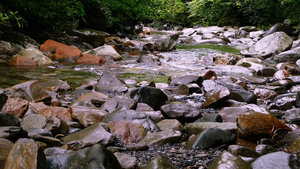 河水在烟雾茂密的山区国家公园中有许多岩石12秒视频