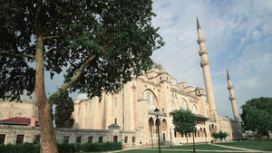 土耳其伊斯坦布尔清真寺庭院21秒视频